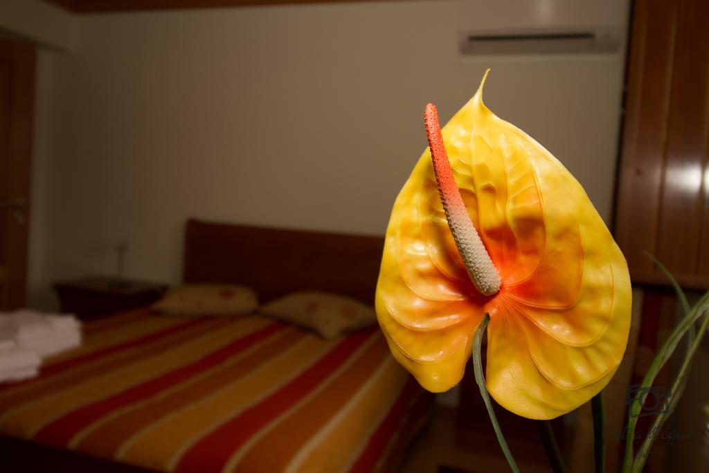Casa Da Ribeirinha Hotell Sabugueiro  Exteriör bild